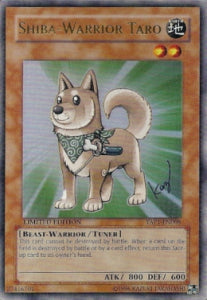 Shiba Warrior Taro YAP1-008 Ultra Rare Good Englisch