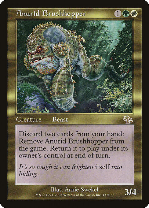 Anurid Brushhopper JUD-137 Rare Good Englisch