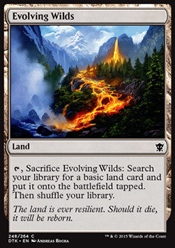 Sich entfaltende Wildnis DTK-248 Common Excellent Deutsch Foil