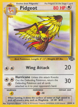 Pidgeot JU-24 Rare Excellent Englisch