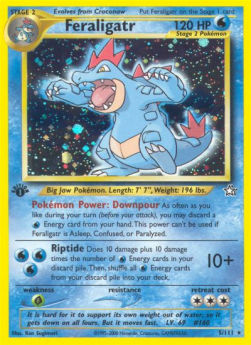 Feraligatr NG-5 Holo Rare Light Played Englisch 1. Auflage
