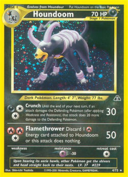 Houndoom NDI-4 Holo Rare EX Englisch