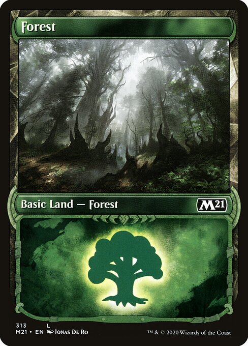 Forest XM21-313 Land Near Mint Englisch
