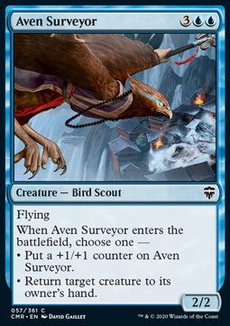 Avior-Aufklärer CMR-57 Common Excellent Deutsch Foil