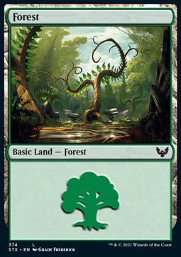 Wald (V.1) XSTX-374 Land Near Mint Englisch Foil