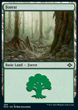 Wald (V.1) XMH2-489 Land Excellent Englisch Foil