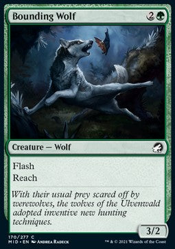 Springwolf MID-170 Common Excellent Englisch Foil
