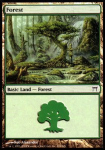 Wald (V.2) CHK-304 Land Excellent Englisch Foil