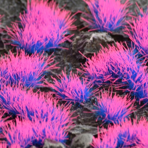 Gamers Grass Alien Neon 4mm Tufts Wild