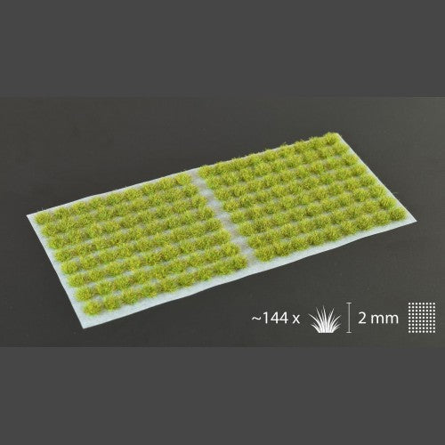 Gamers Grass Moss 2mm Tufts