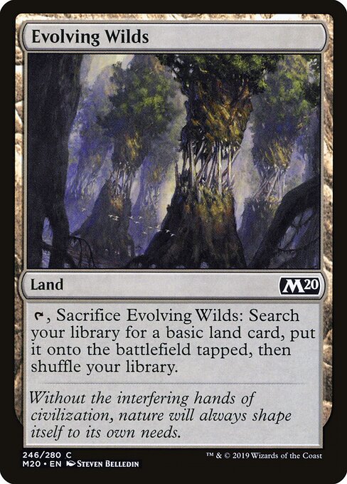 Evolving Wilds M20-246 Common Near Mint Englisch