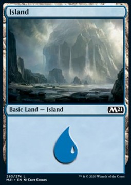 Insel (V.1) M21-263 Land Near Mint Deutsch Foil