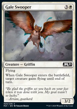 Windböengleiter M21-20 Common Excellent Englisch Foil