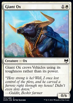 Riesenochse KHM-11 Common Good Englisch Foil