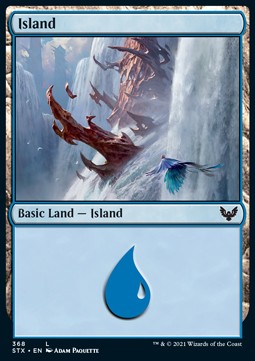 Insel (V.1) XSTX-368 Land Near Mint Englisch Foil