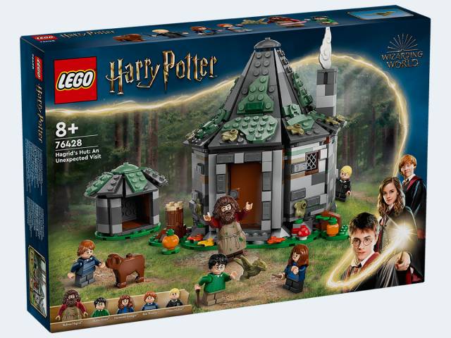 LEGO Harry Potter Hagrids Hütte unerwarteter Besuc