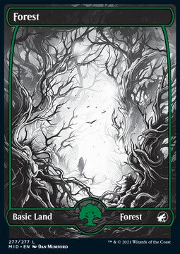 Wald (V.2) MID-277 Land Excellent Englisch Foil