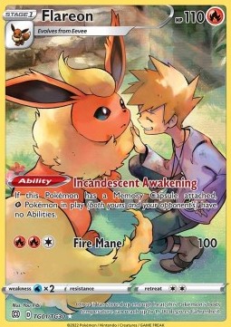 Flamara BRS-TG01 Holo Rare Near Mint Deutsch