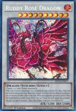 Ruddy Rose Dragon MP22-077 Secret Rare Near Mint Englisch 1. Auflage