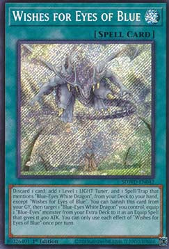 Wunsch nach blauen Augen (V.2) SDWD-042 Secret Rare Near Mint Deutsch 1. Auflage