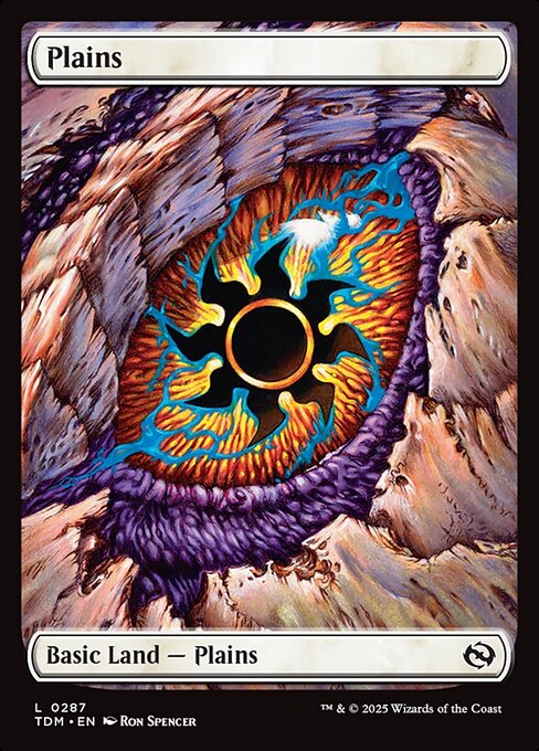Plains XTDM-287 Land Near Mint Englisch Foil