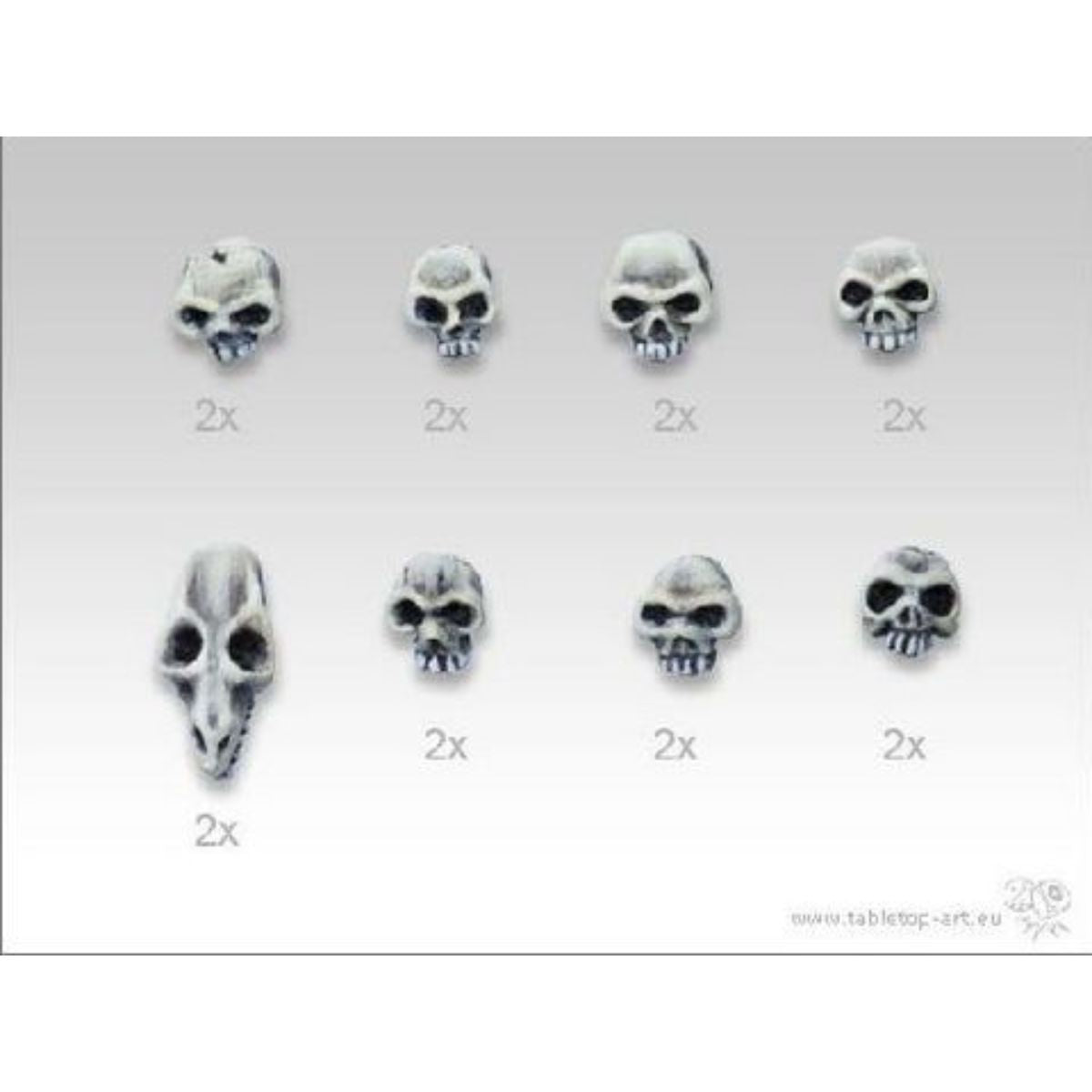 Skulls Set 1